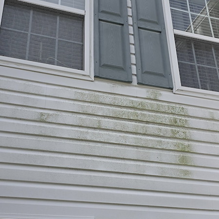 Spring Mold and Mildew Prevention for Chesapeake Homes