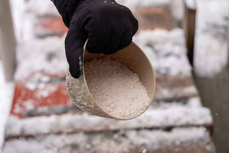 Winter Storm Salt: Not Just for the Roads
