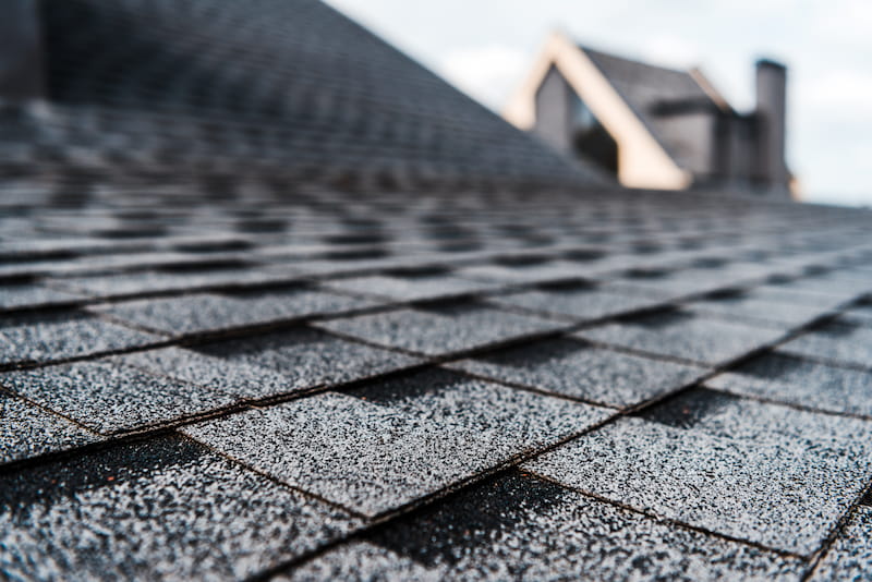 Roof Cleaning